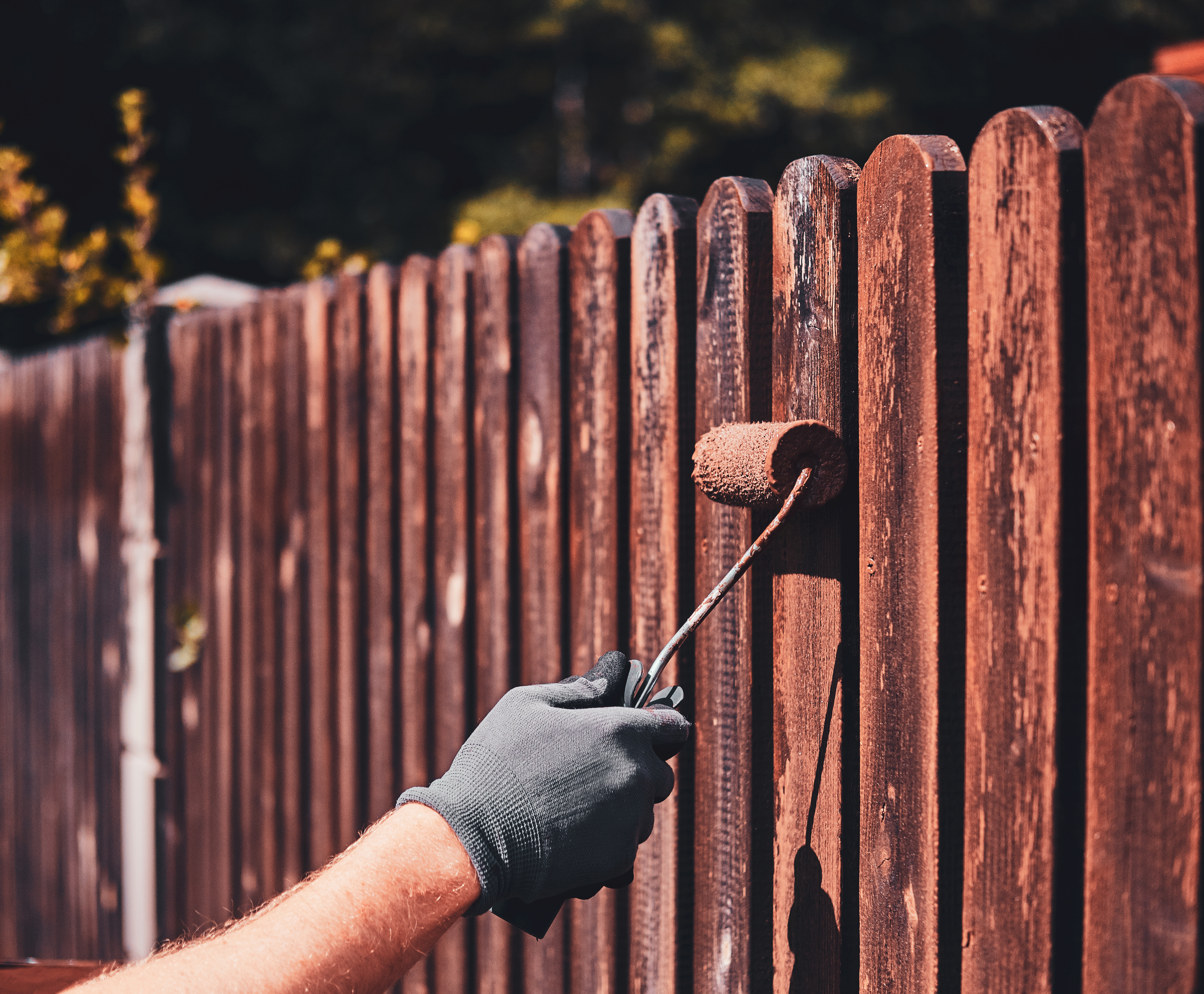 Fence Staining & Painting